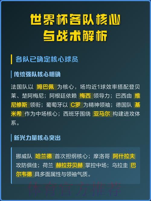 世界杯各队战术深度解析