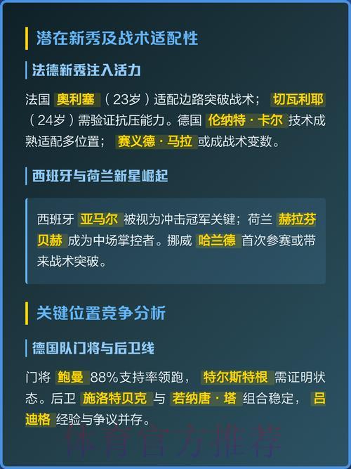 世界杯各队战术深度解析